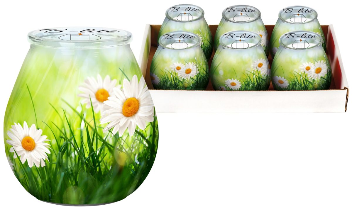 SVIJEĆA MIRISNA STAKL.DEZI IVANC.LEMONGR