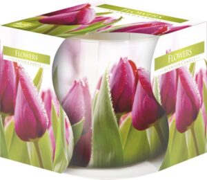 MIRISNA SVIJEĆA DEZI TULIP STAKLENKA